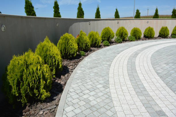 Reasons to Select Us for Your Driveway Paving Requirements in Dupont, PA